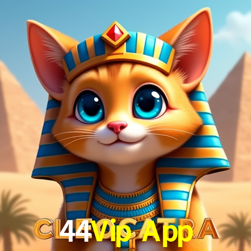 Football Betting 44Vip App